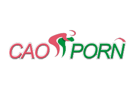 caoporn 草棚 超碰在线视频 logo